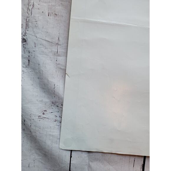 An American Tail 1986 Movie Theater Poster DIrected By Steven Spielberg READ - Picture 12 of 13